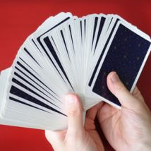 No.5「木」のカードの意味と読み取り